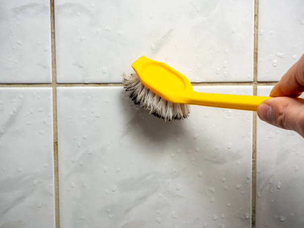 Best Fast Mold Removal  in Sunset, FL