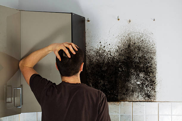 Best Crawl Space Mold Removal  in Sunset, FL